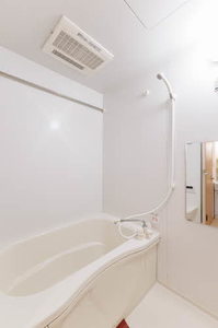 ＣＡＳＡ　Ｍａｉ　星 202号-10