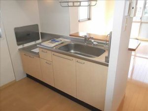 ハーモニーテラス 202号-4