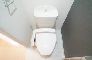 メゾン・カームニスＢ 102号-4