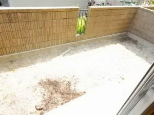 アーシス　りんくうＢ 102号-11