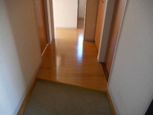 サンフォレスト２番館 202号-3