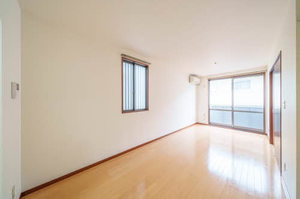 ヴェルドミール川平 102号-2