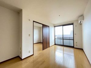 ヴェルドミール川平 203号-2