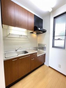 ヴェルドミール川平 203号-4