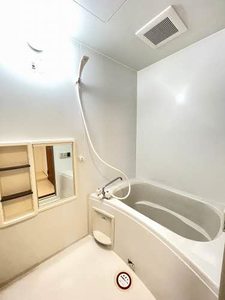 ヴェルドミール川平 203号-6