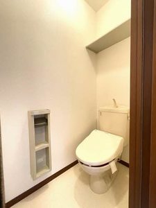 ヴェルドミール川平 203号-7