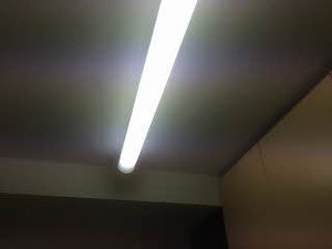 ビエナ弓の町 201号-8