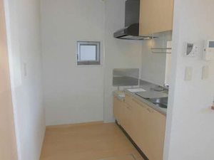 スカイプラザⅡＡ 102号-3