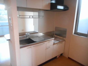 Ｅ．コート．ジェネラス 203号-4