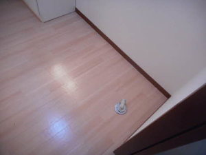 Ｅ．コート．ジェネラス 203号-7