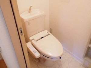 メゾン・アイリス 205号-10
