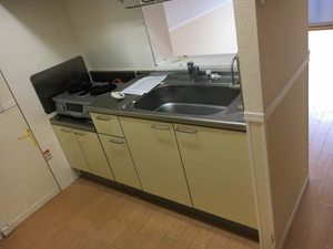 エクレシアⅡ 202号-6