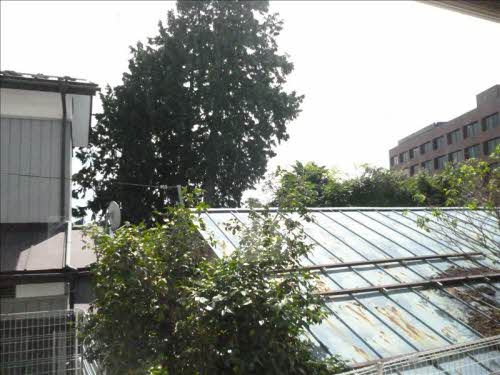 ラフォーレハイツ 103号-13