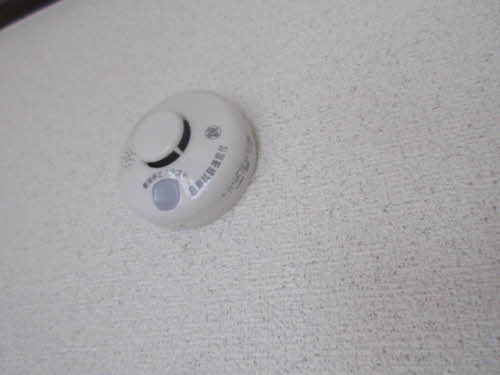 ＣＯＺＹ　ＡＬＬＥＹ　Ａ 102号-11