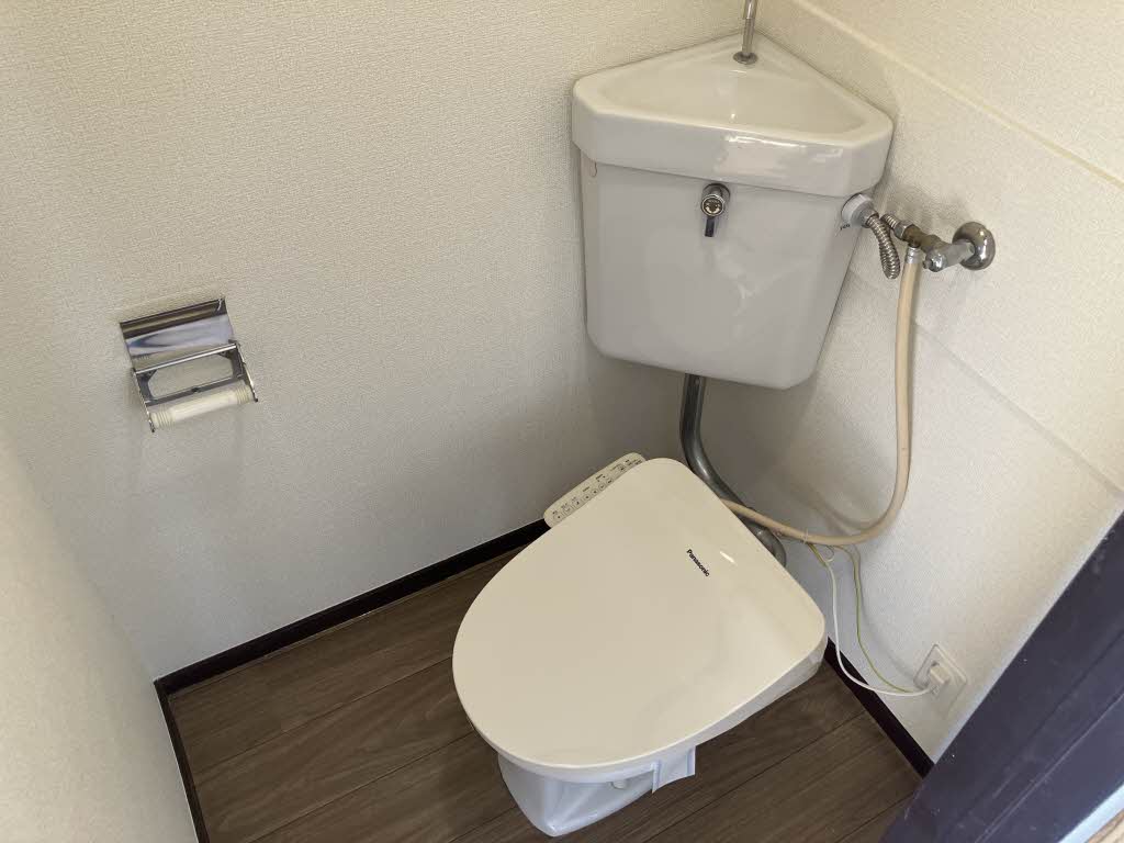 コスモス　１ 202号-6