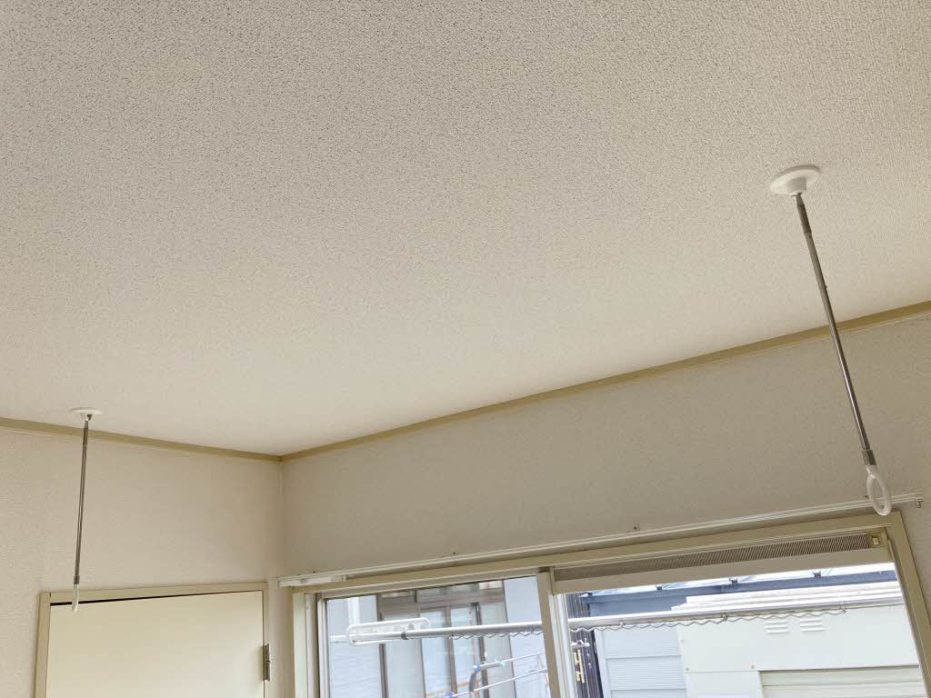 ＹＯＵ　ハイム 101号-11