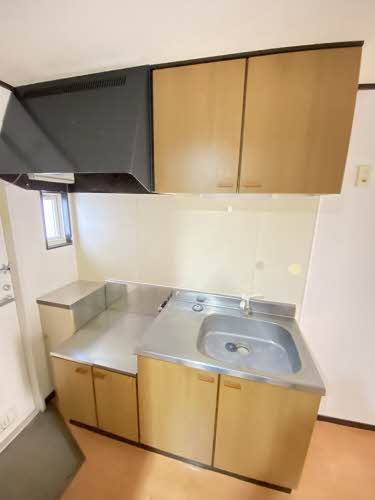 クリプトメリア 201号-4