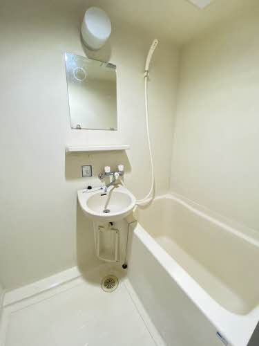 クリプトメリア 201号-5