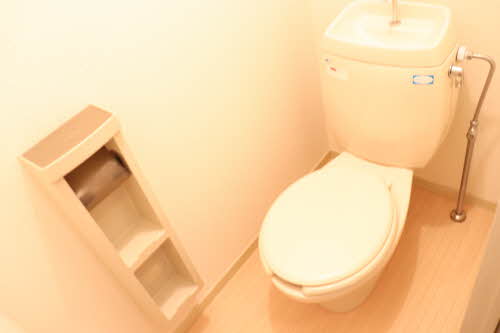 ぱすてるはうすＲ 201号-5