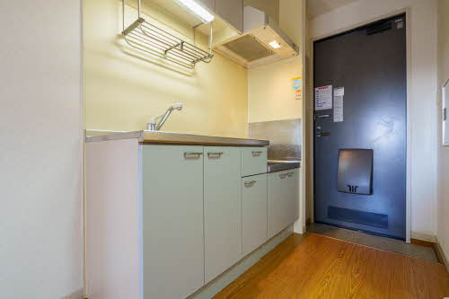 ドエル・エスⅡ 201号-4