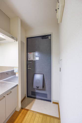 ドエル・エスⅡ 202号-10