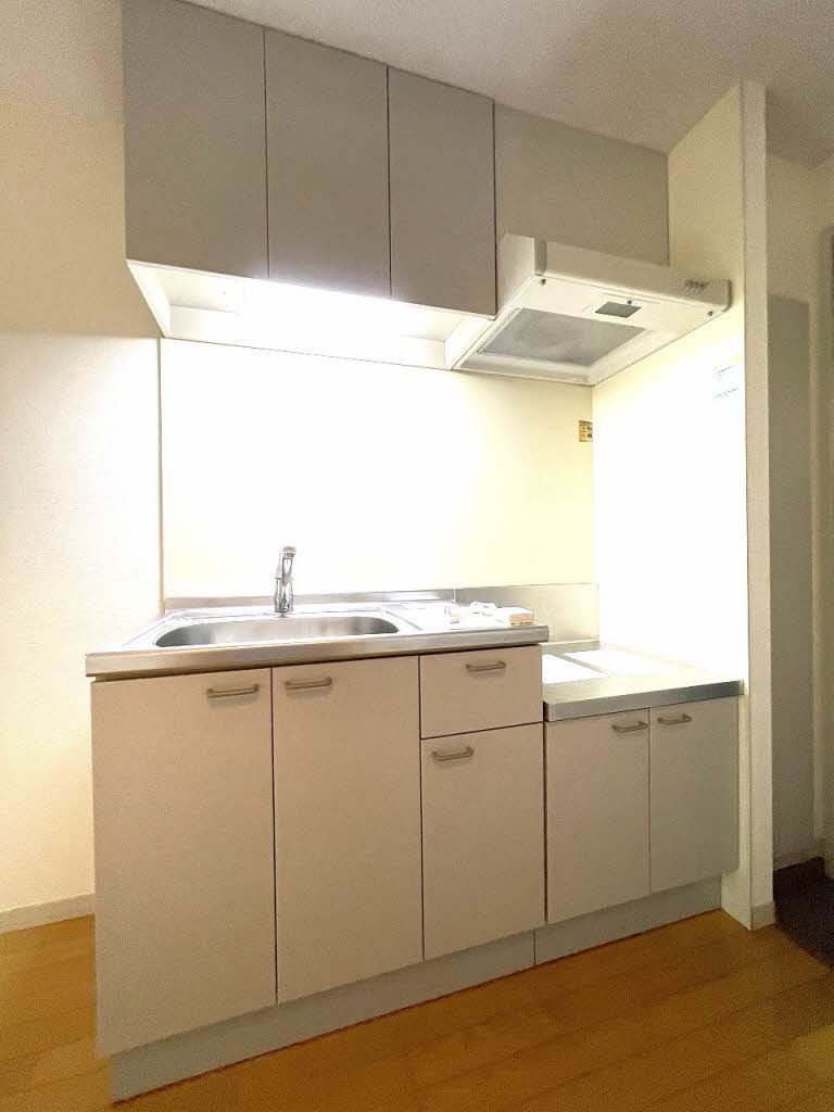 ドエル・エスⅡ 205号-3