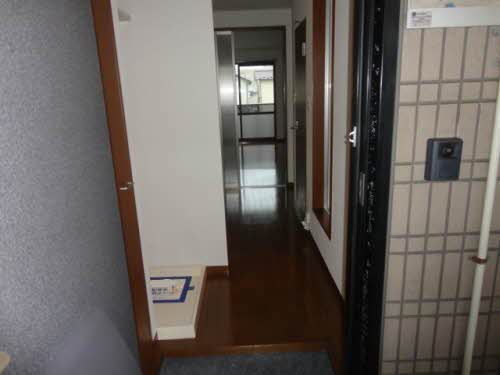 ブッシュ・クローバー 205号-6