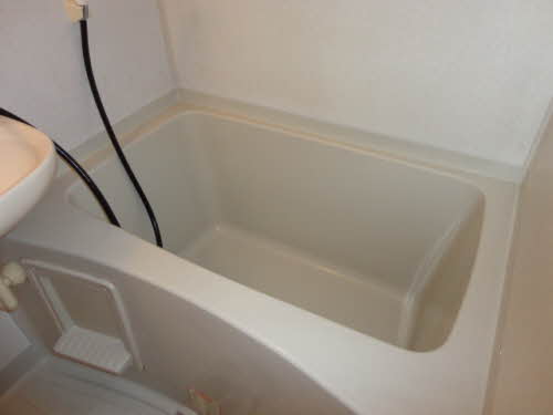 ブッシュ・クローバー 205号-7