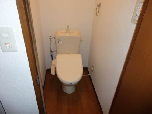 ブッシュ・クローバー 205号-8