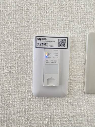 ブッシュ・クローバー 206号-13