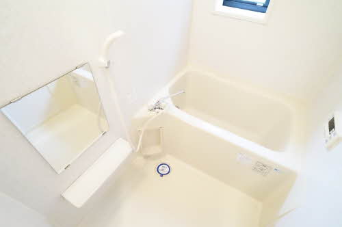 Ｌｉｌｙ　ｏｆ　ｔｈｅ　ｖａｌｌｅｙ 101号-9