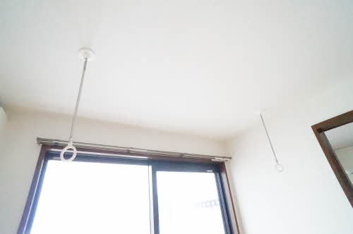 Ｌｉｌｙ　ｏｆ　ｔｈｅ　ｖａｌｌｅｙ 101号-13