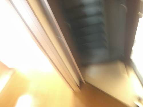 フォンティーヌ国見 202号-3