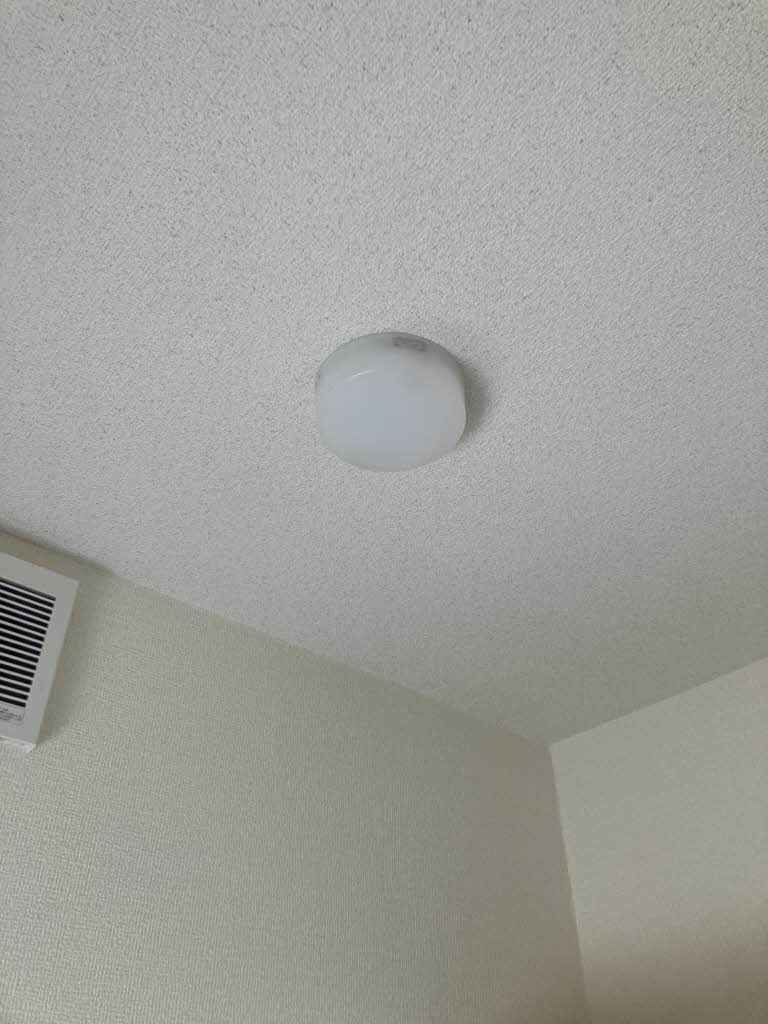 ルピナスＹ 102号-8