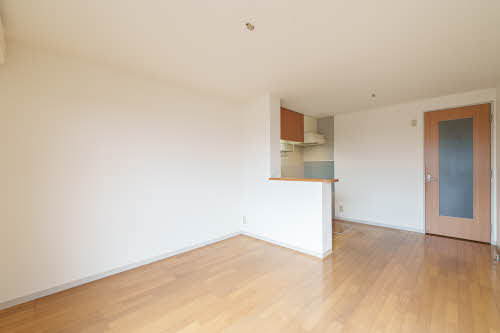 ディアス・パシアンＡ 102号-3