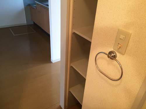 ピュアソウル若葉 103号-11