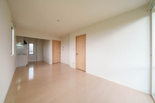 Ｒｅ・ピュア 101号-3