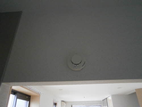 ファミーユサシンⅤ 101号-8