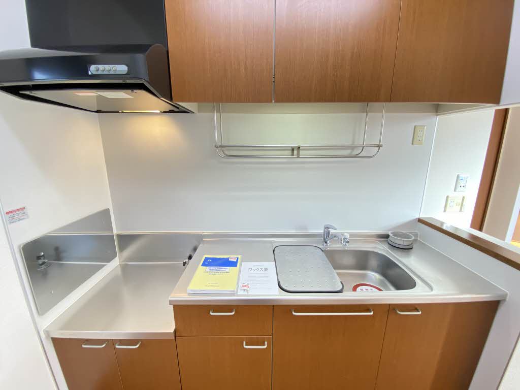 ＤＩＳＣＵＳ　Ｆ－１ 101号-5