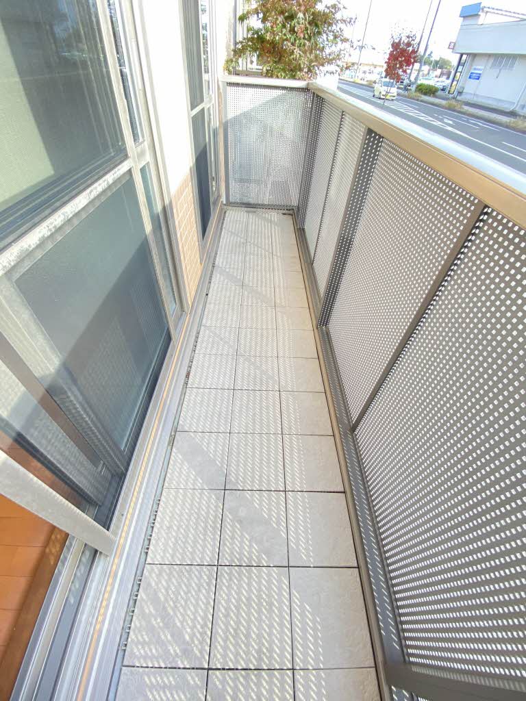 ＤＩＳＣＵＳ　Ｆ－１ 101号-9