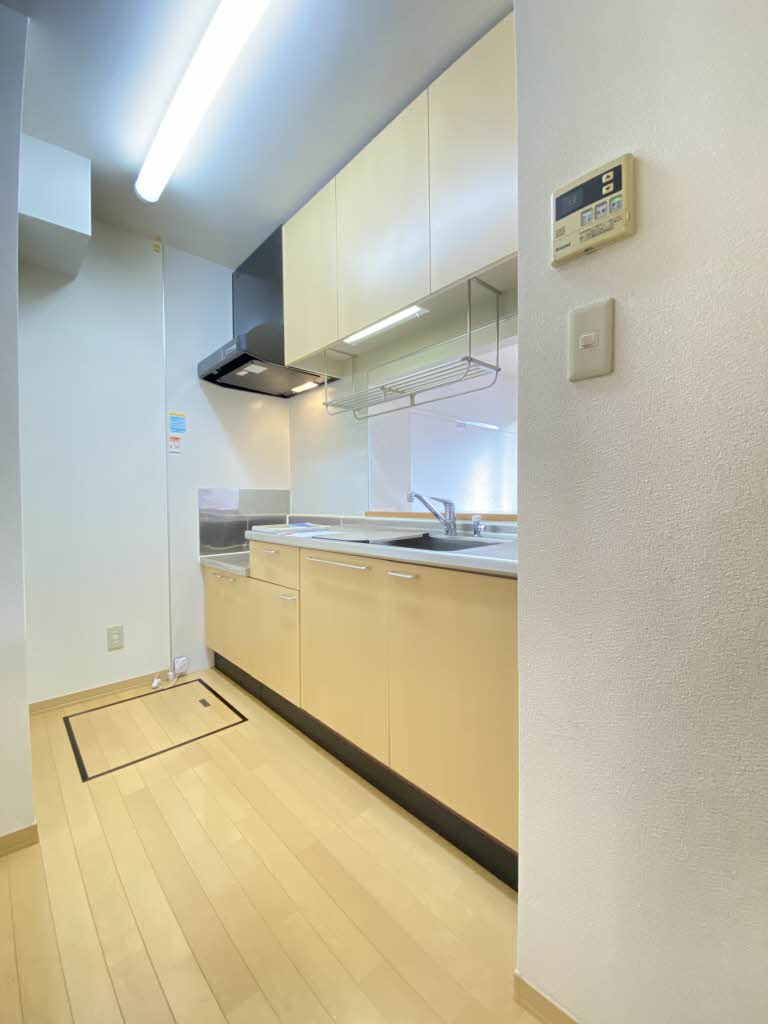 ホープフル 101号-5