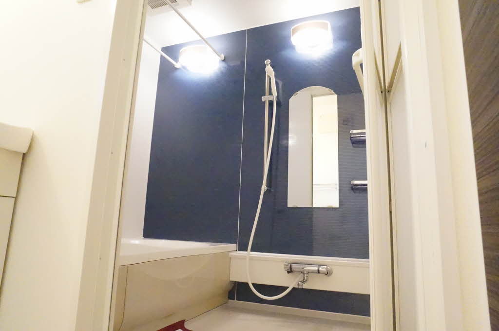 メゾン・カームニスＢ 102号-6