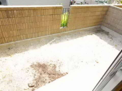 アーシス　りんくうＢ 102号-11