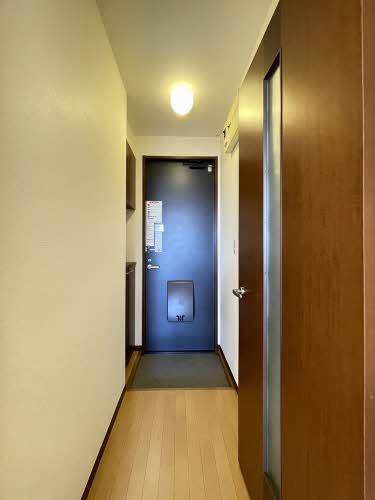 ヴェルドミール川平 203号-5