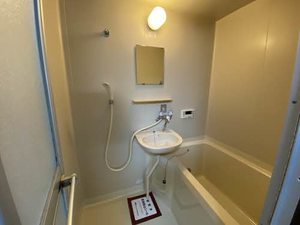 ドミールヒロ 103号-10