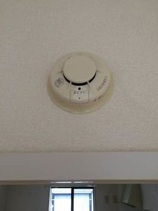 ヌーベルバーグ　Ｃ 202号-14