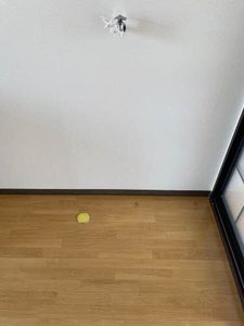 那須アパート 202号-5