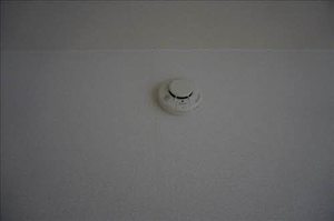 メゾン沢田Ⅱ　Ｂ 101号-10