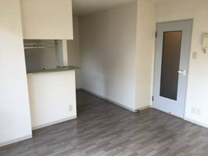 ドミール泉川　Ｃ 101号-4