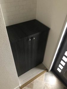 フレックス・カマタ　Ｂ 203号-4